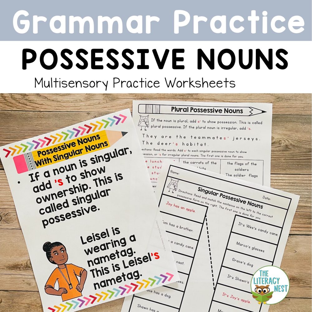 possessive-noun-practice-worksheets-posters-activities-games-the-literacy-nest